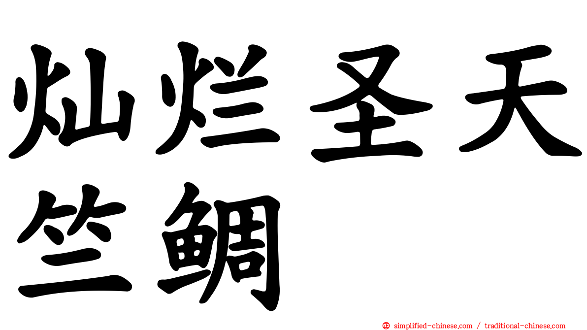 灿烂圣天竺鲷