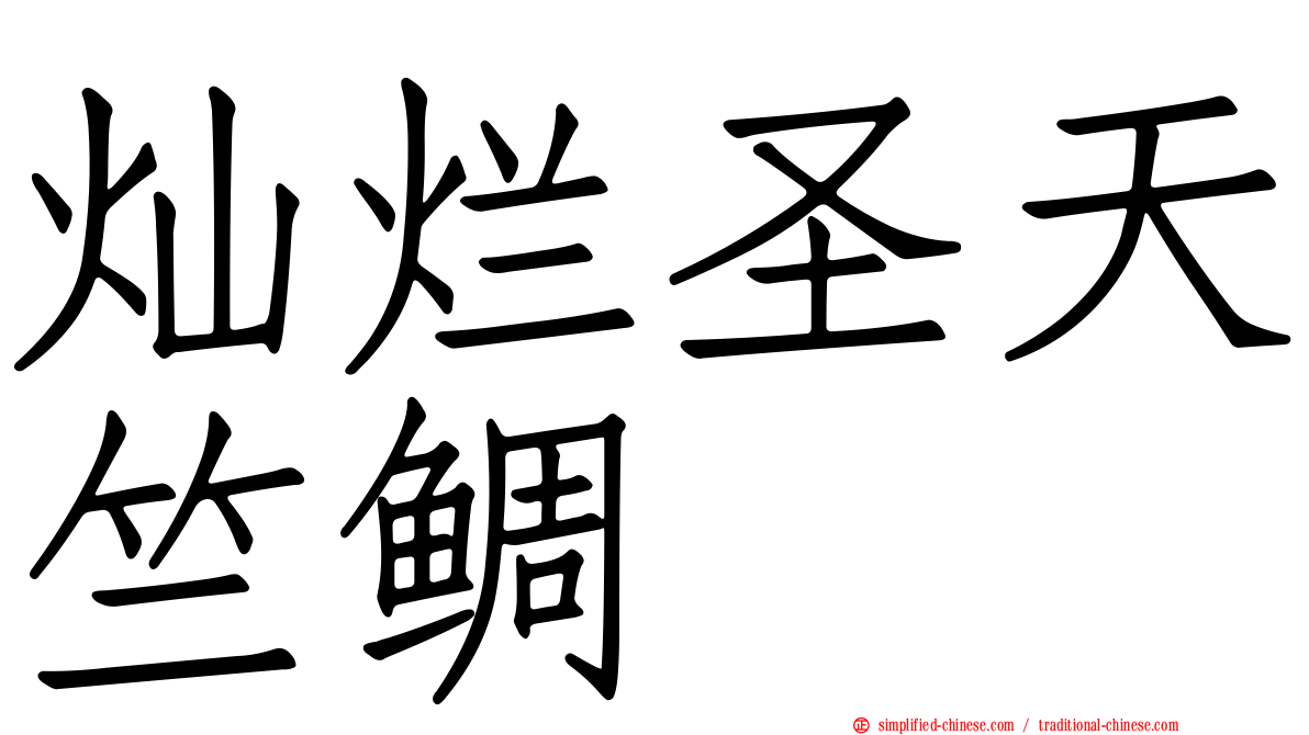 灿烂圣天竺鲷