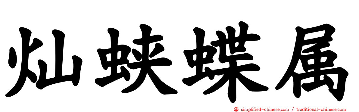 灿蛱蝶属