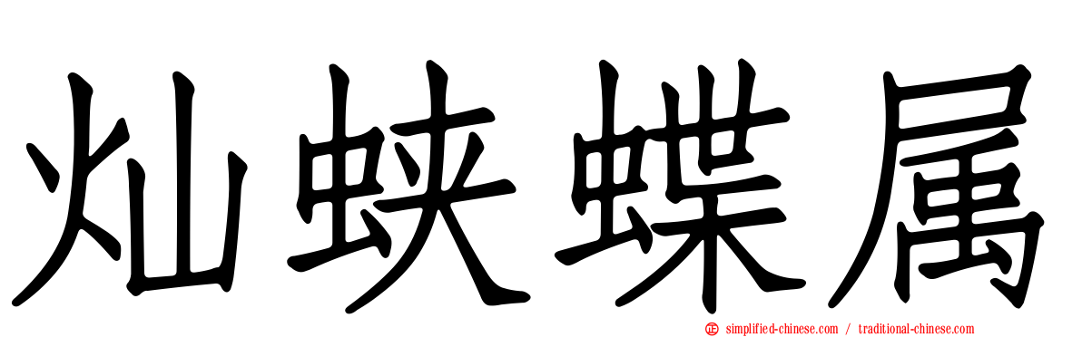 灿蛱蝶属