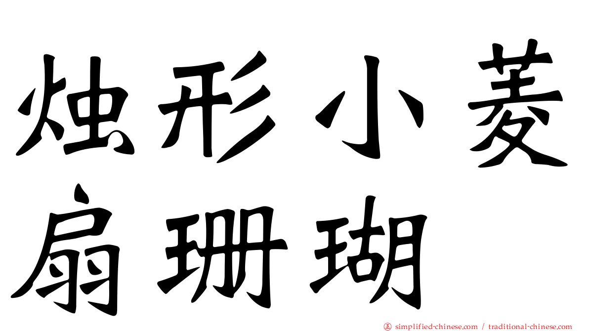 烛形小菱扇珊瑚