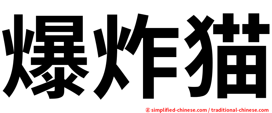 爆炸猫