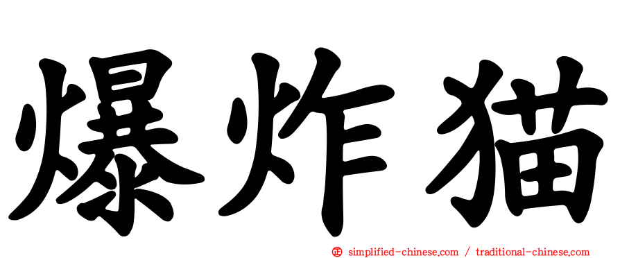 爆炸猫