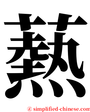 爇 serif font