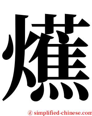 爑 serif font