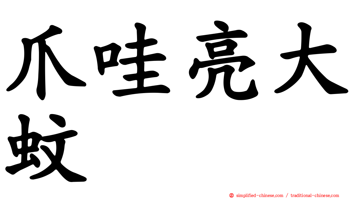 爪哇亮大蚊