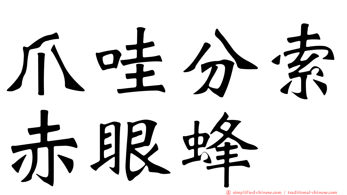 爪哇分索赤眼蜂