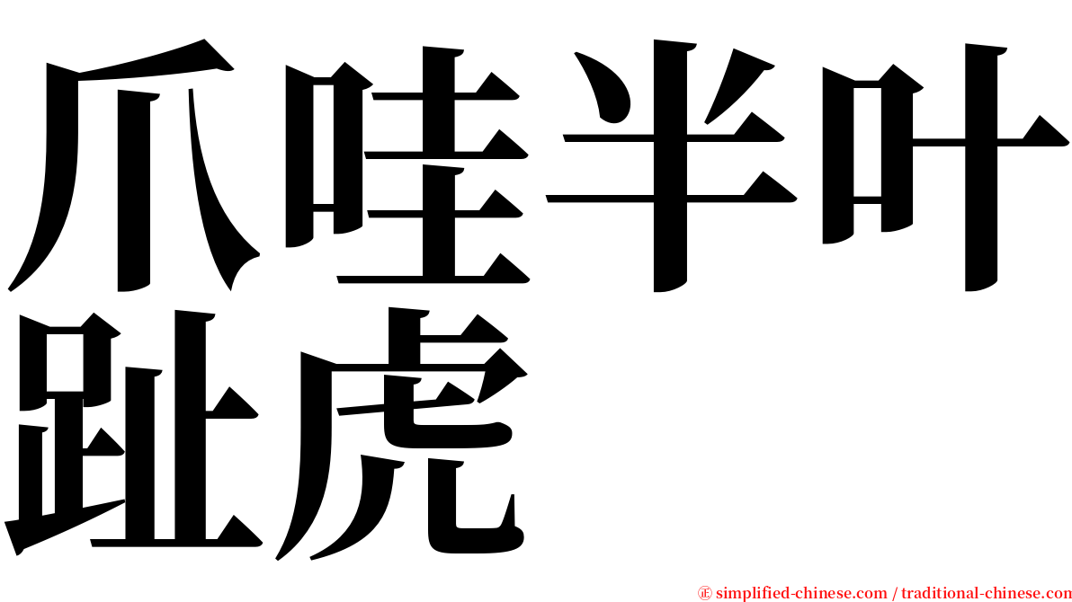 爪哇半叶趾虎 serif font