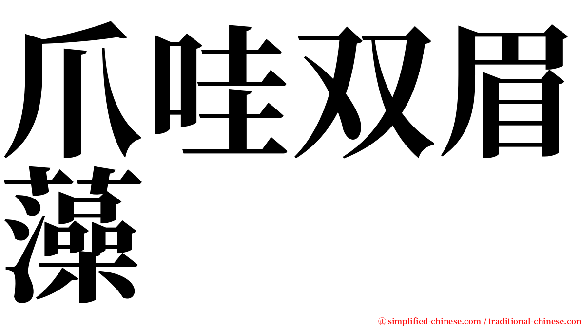 爪哇双眉藻 serif font