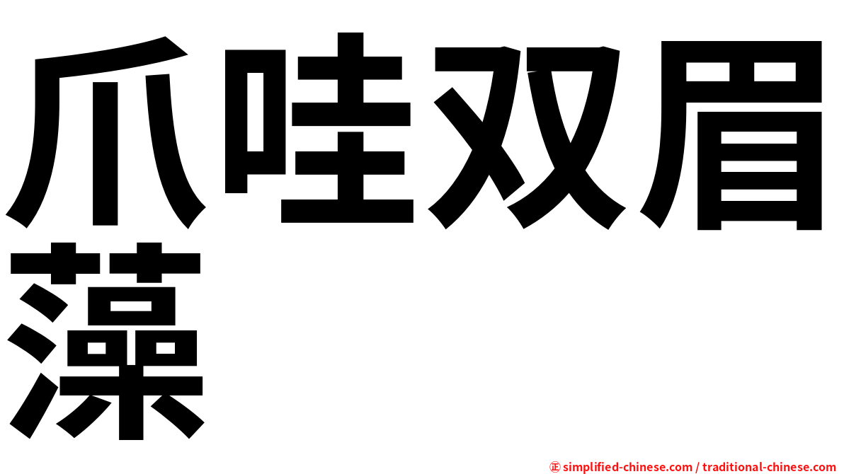 爪哇双眉藻