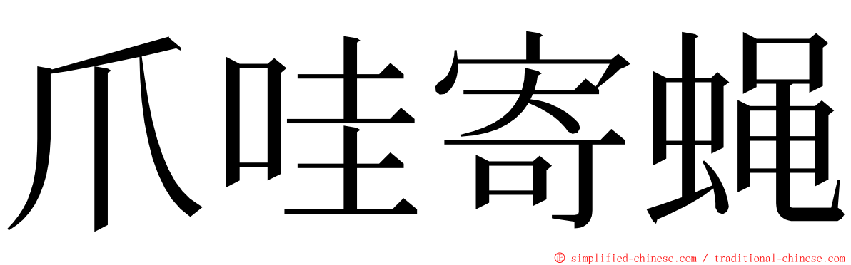 爪哇寄蝇 ming font