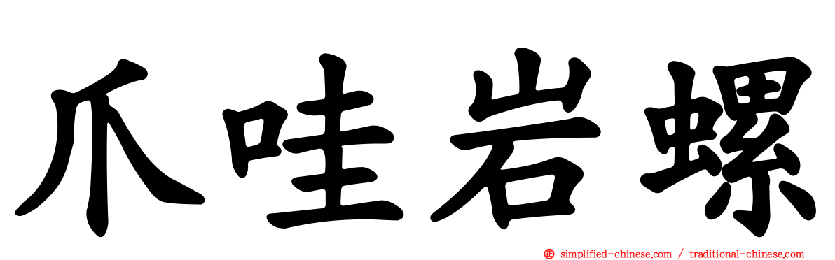 爪哇岩螺