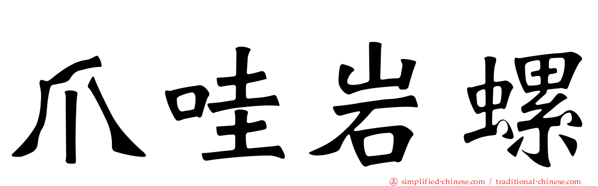 爪哇岩螺