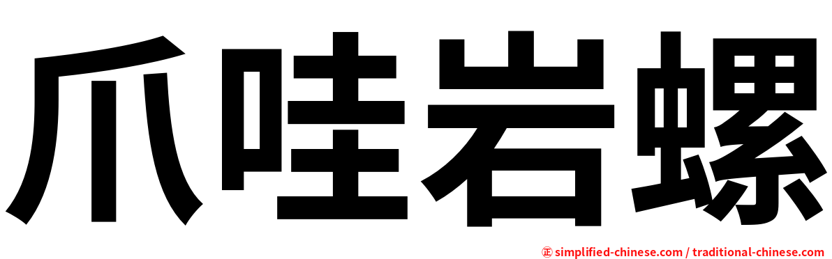 爪哇岩螺