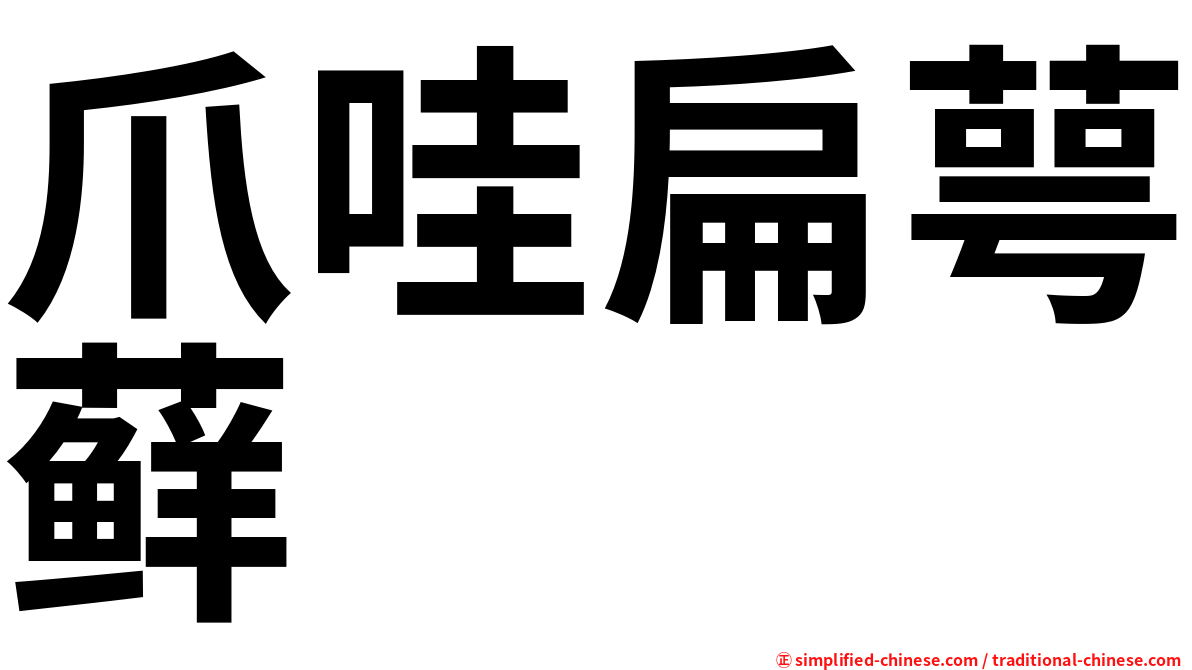 爪哇扁萼藓