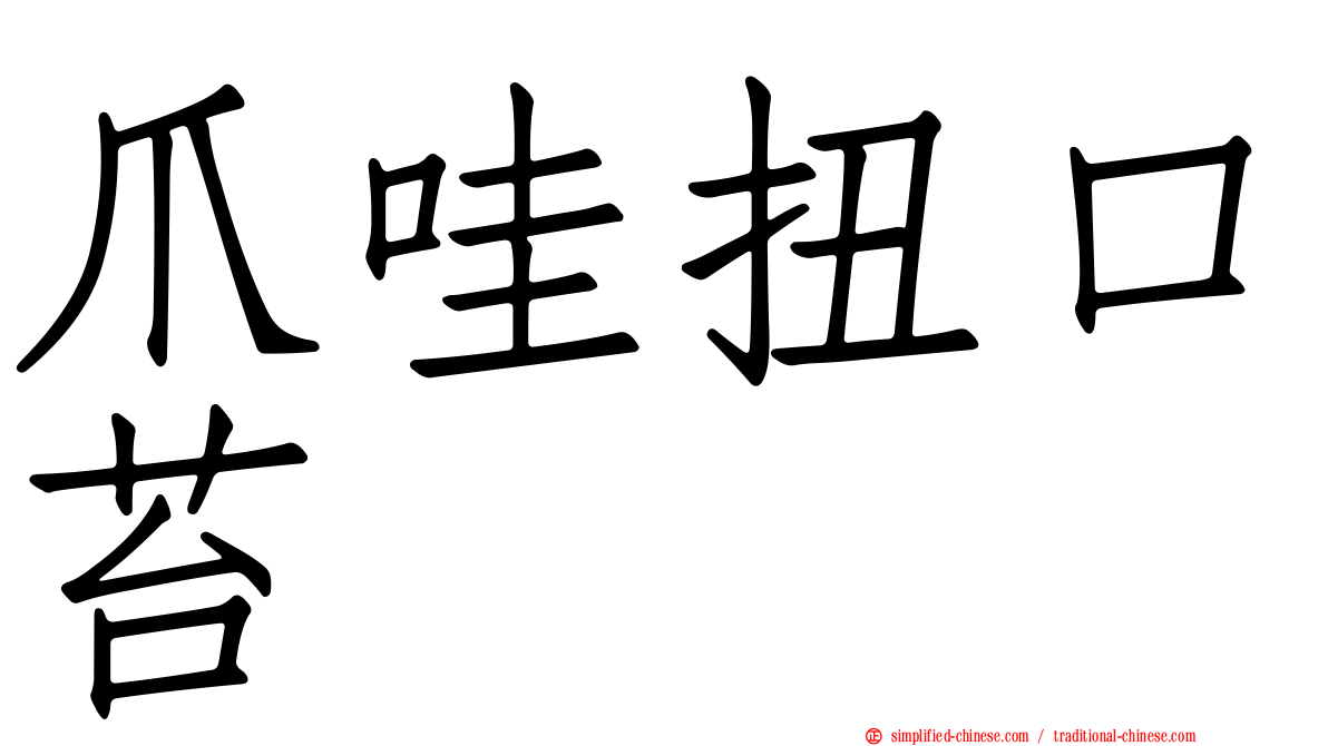爪哇扭口苔