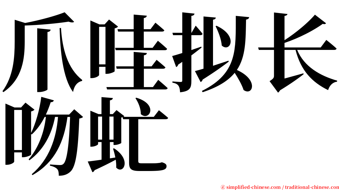爪哇拟长吻虻 serif font