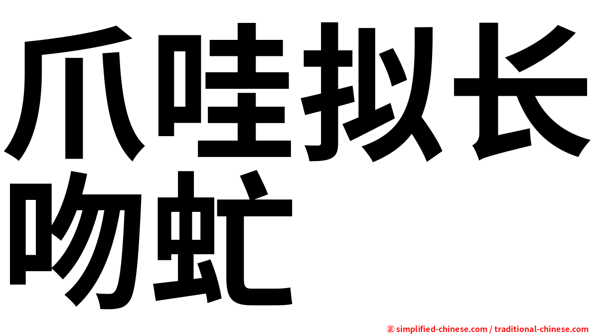 爪哇拟长吻虻