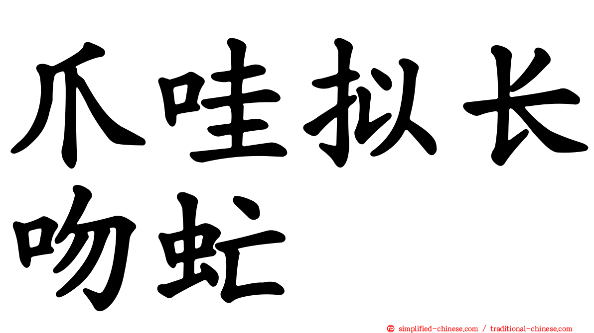 爪哇拟长吻虻