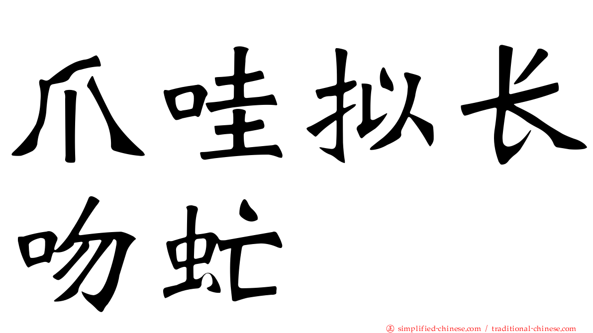 爪哇拟长吻虻
