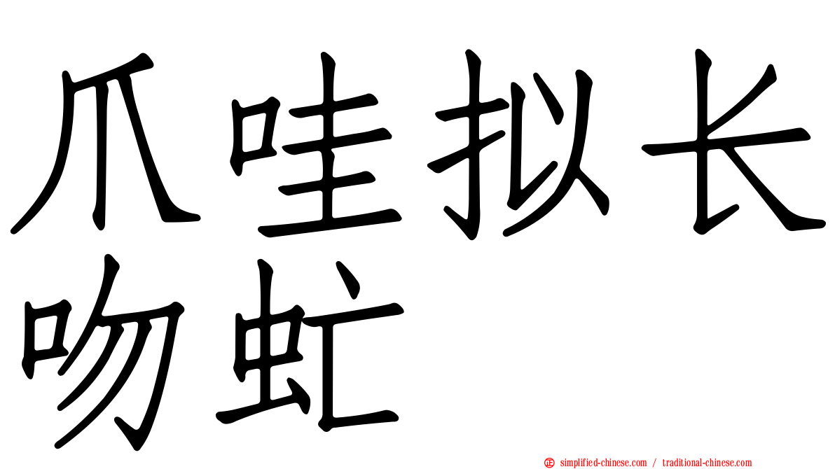 爪哇拟长吻虻