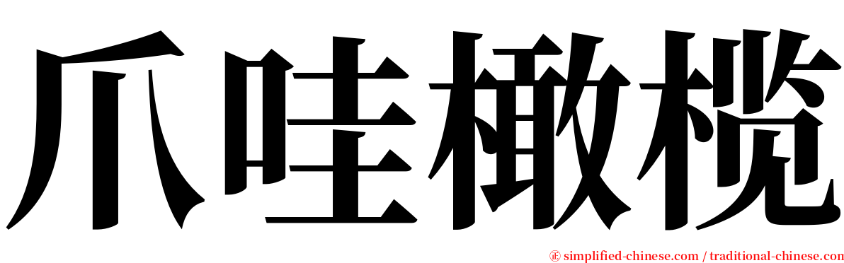 爪哇橄榄 serif font