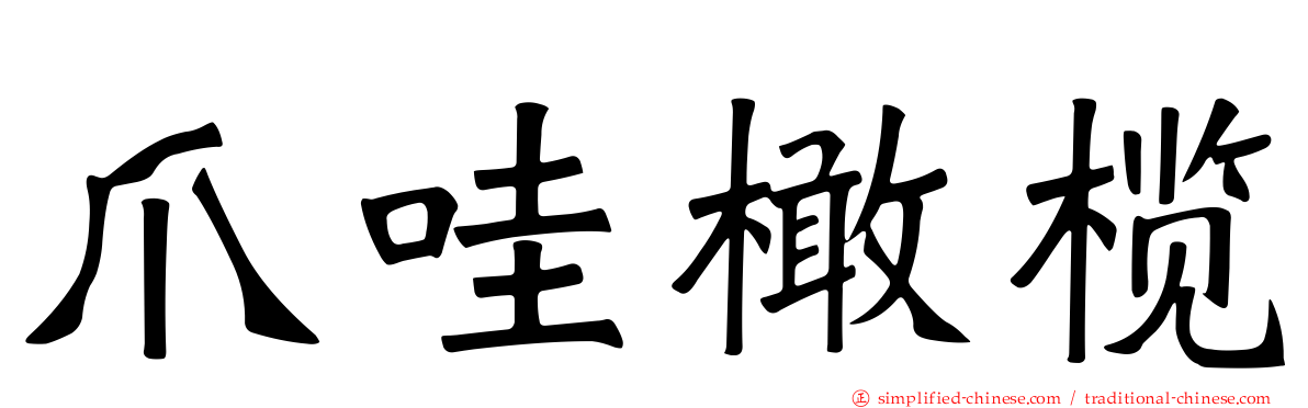 爪哇橄榄