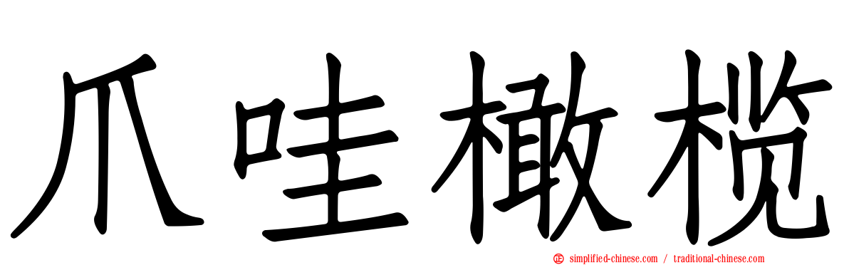 爪哇橄榄