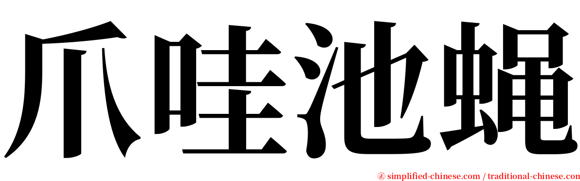 爪哇池蝇 serif font