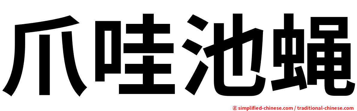 爪哇池蝇