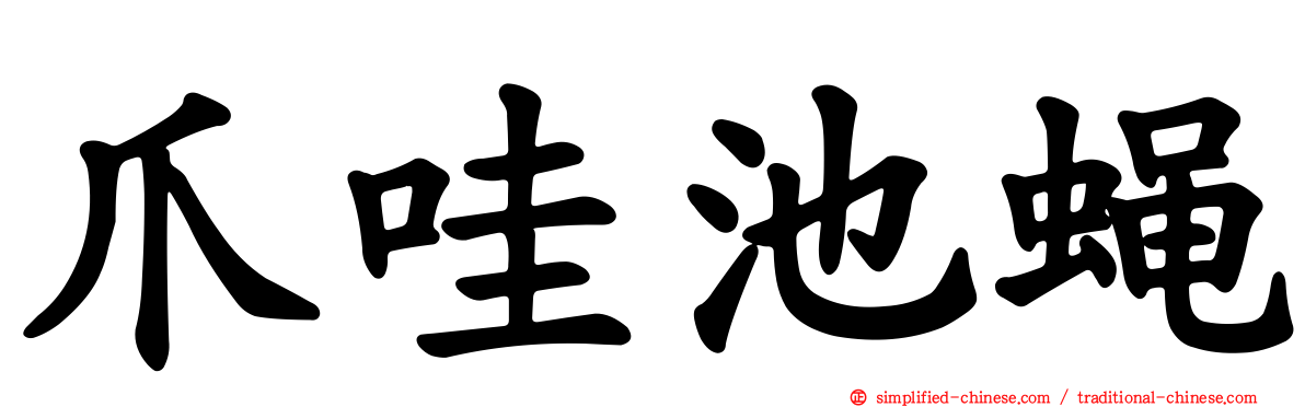 爪哇池蝇