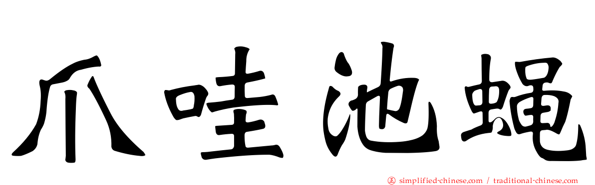 爪哇池蝇