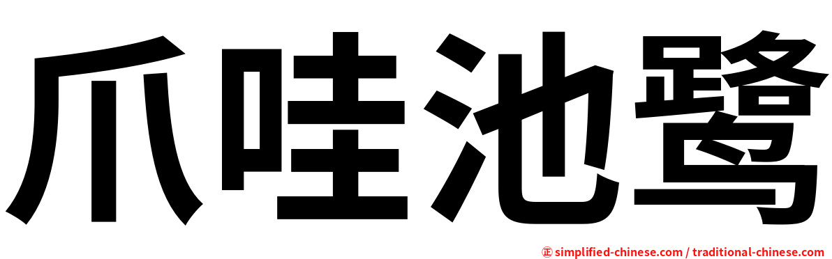 爪哇池鹭