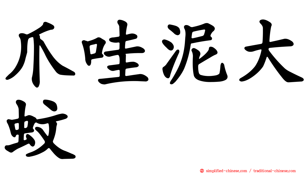 爪哇泥大蚊