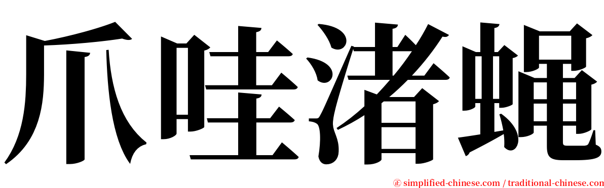 爪哇渚蝇 serif font