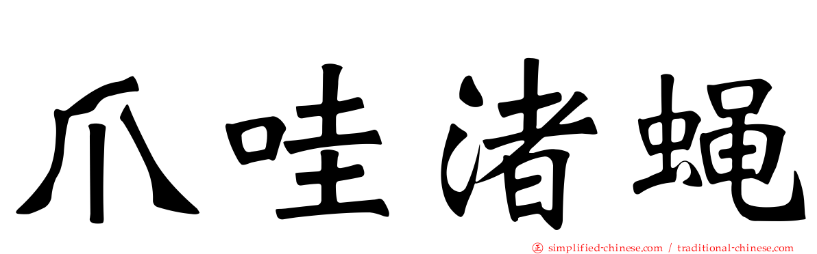 爪哇渚蝇