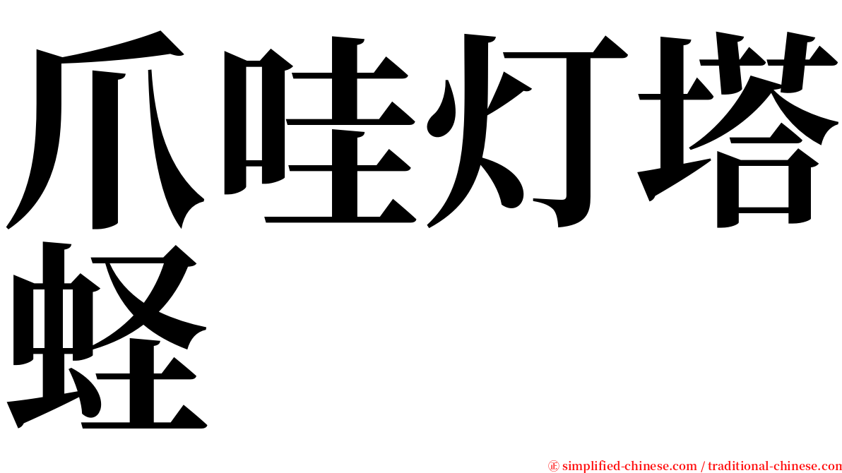 爪哇灯塔蛏 serif font