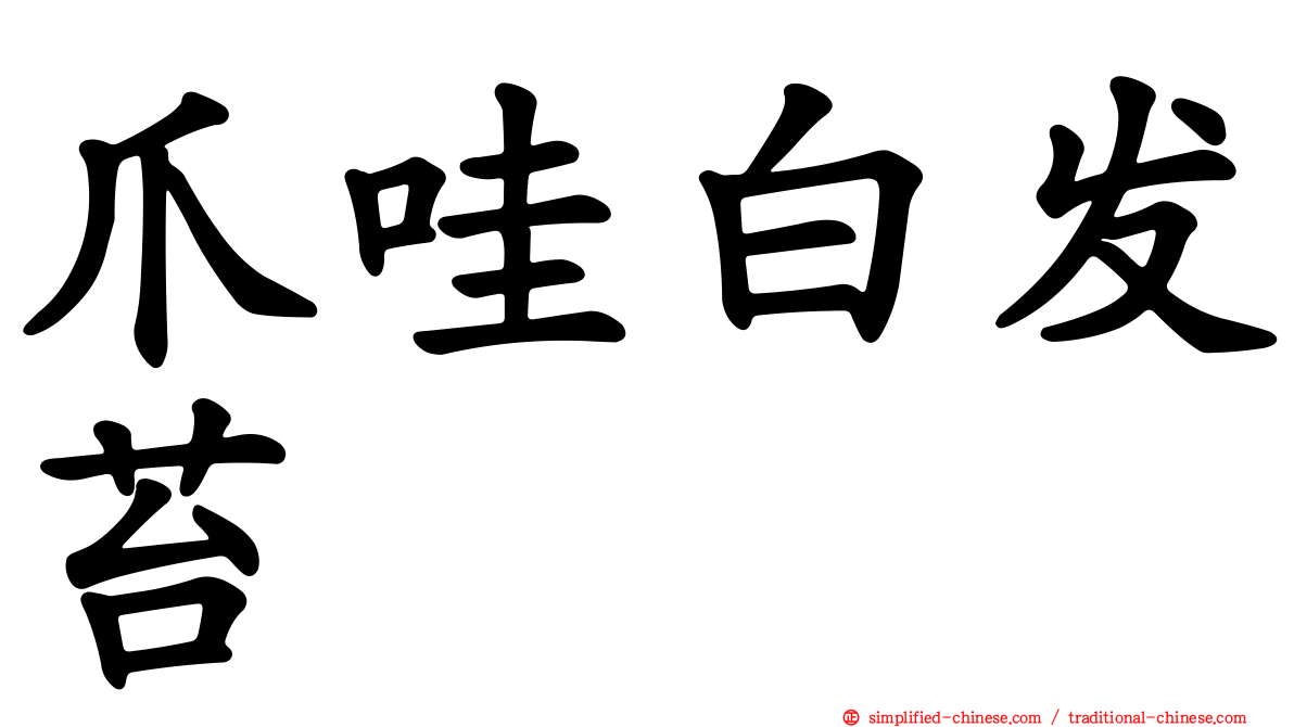 爪哇白发苔