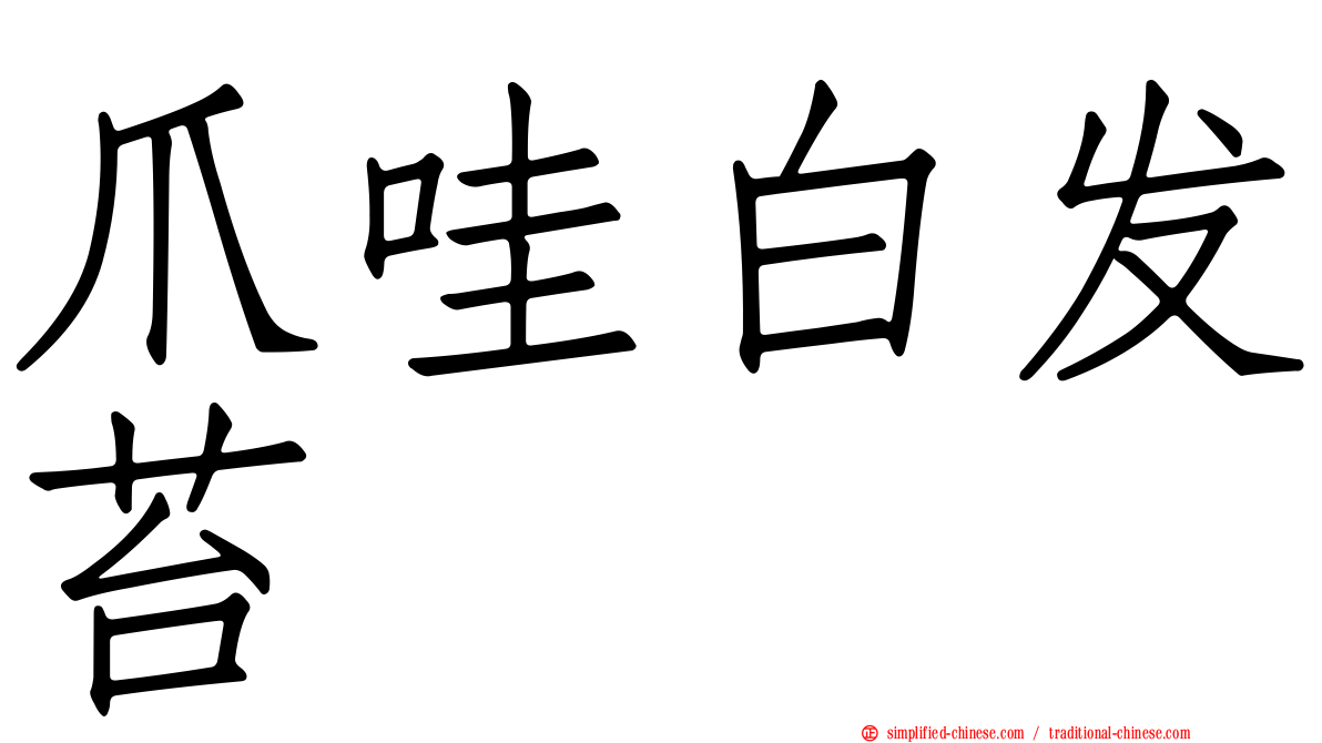 爪哇白发苔