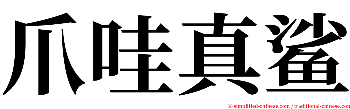 爪哇真鲨 serif font