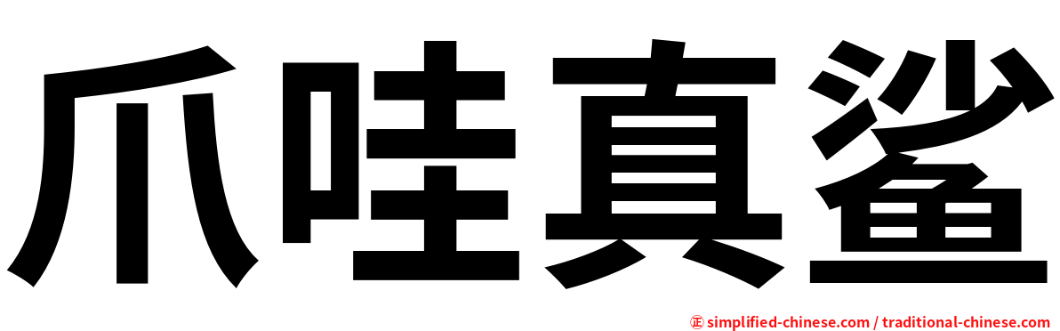 爪哇真鲨