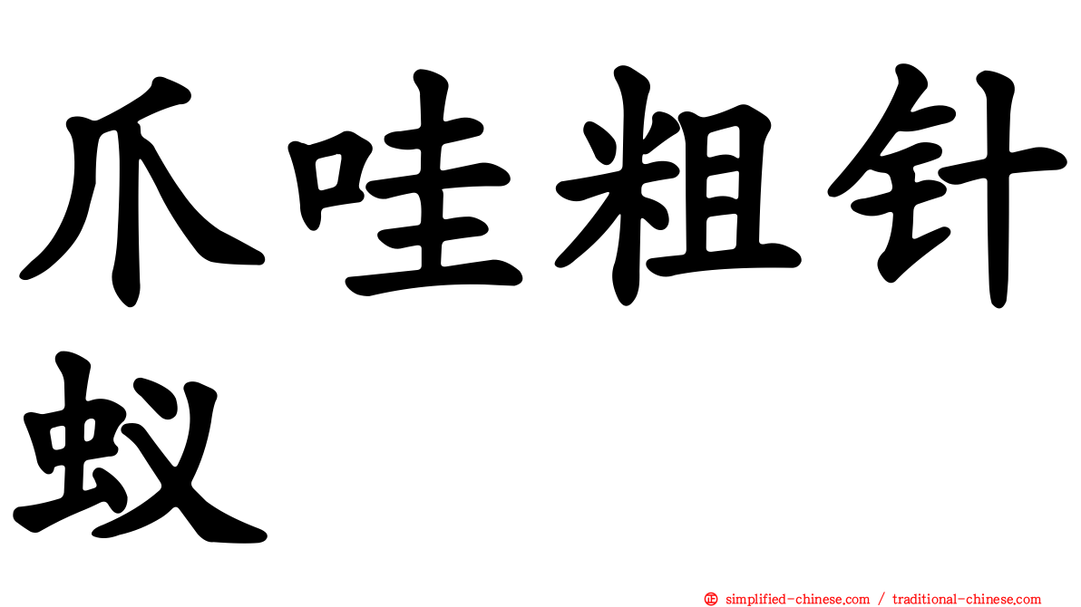 爪哇粗针蚁