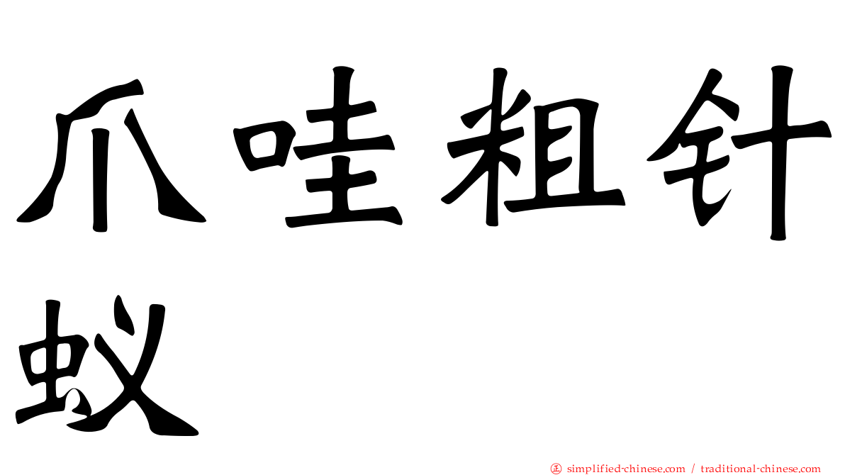 爪哇粗针蚁