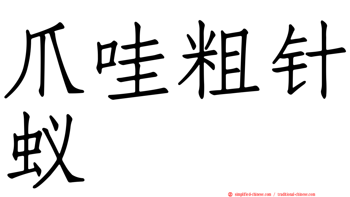 爪哇粗针蚁