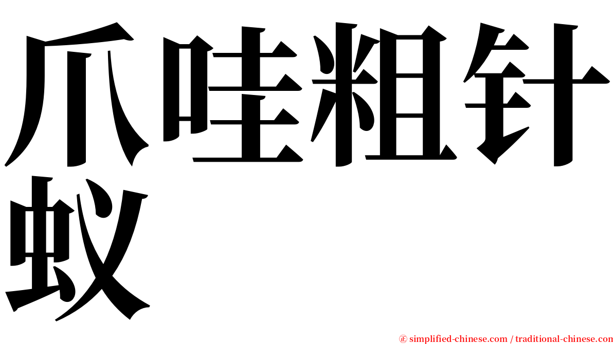 爪哇粗针蚁 serif font