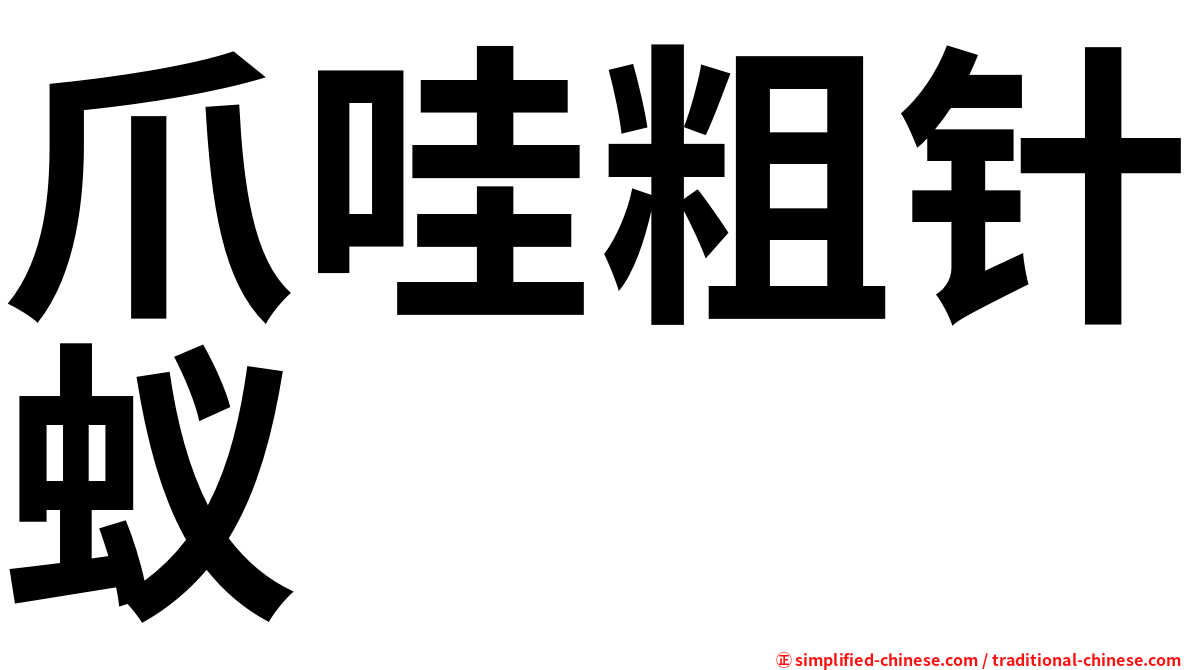 爪哇粗针蚁