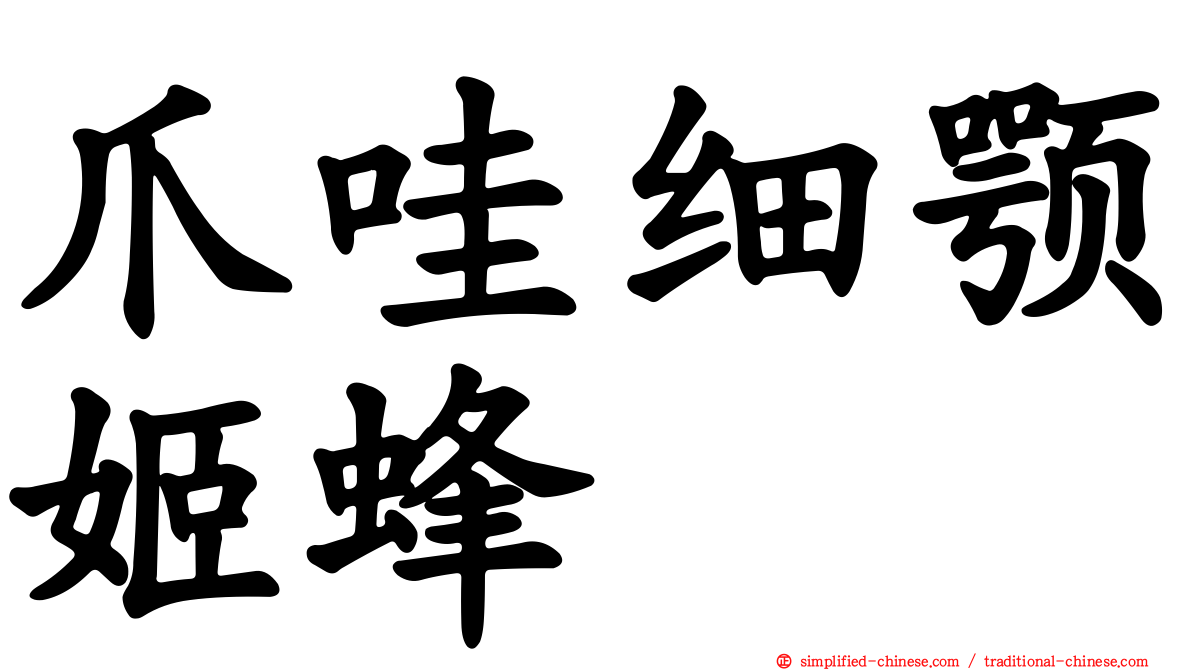 爪哇细颚姬蜂
