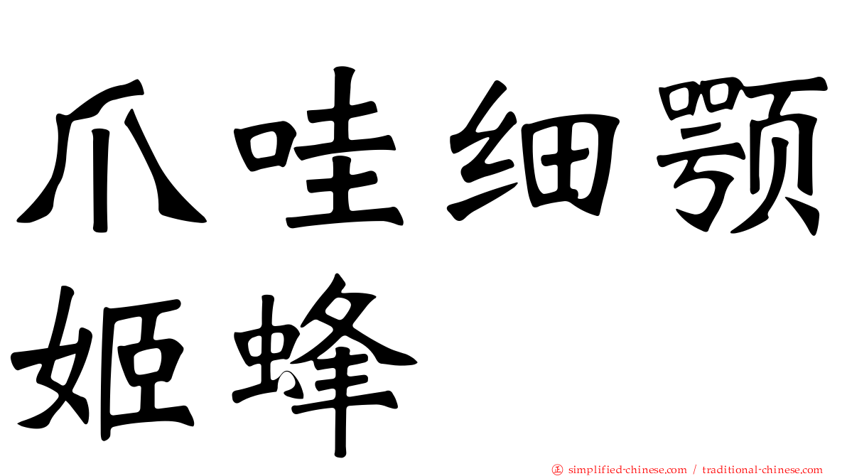 爪哇细颚姬蜂