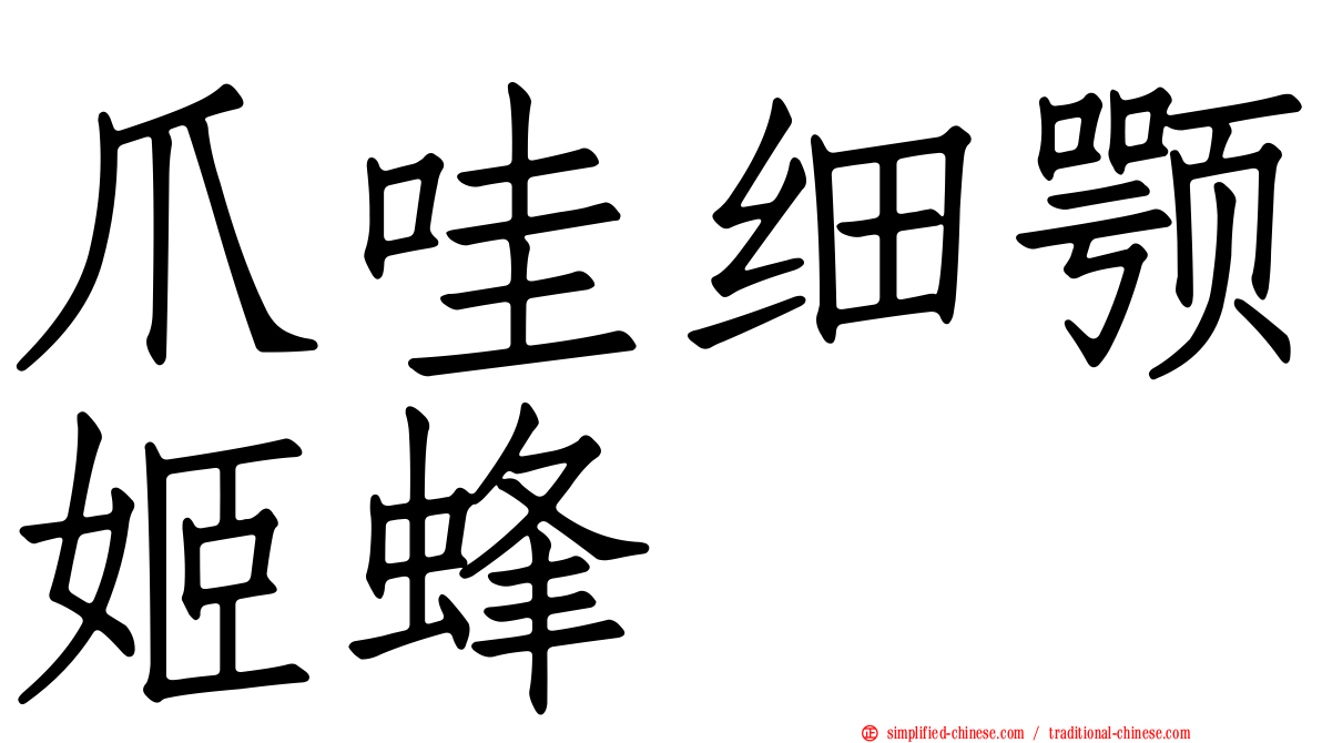 爪哇细颚姬蜂