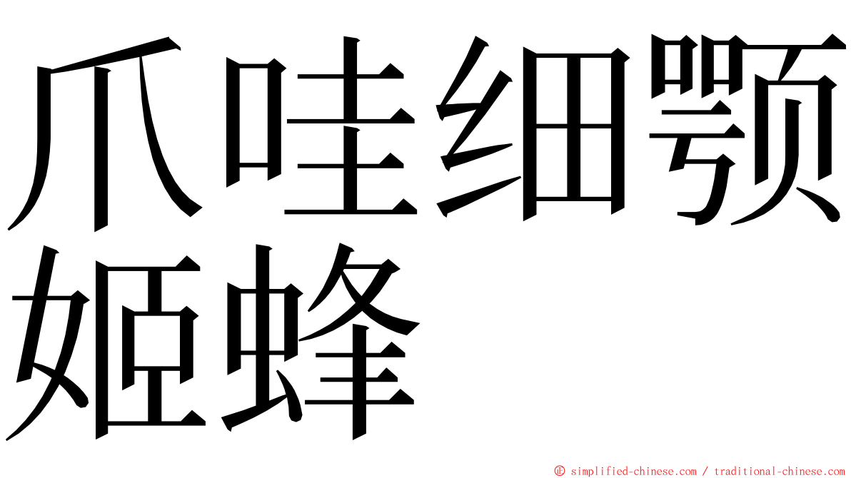 爪哇细颚姬蜂 ming font
